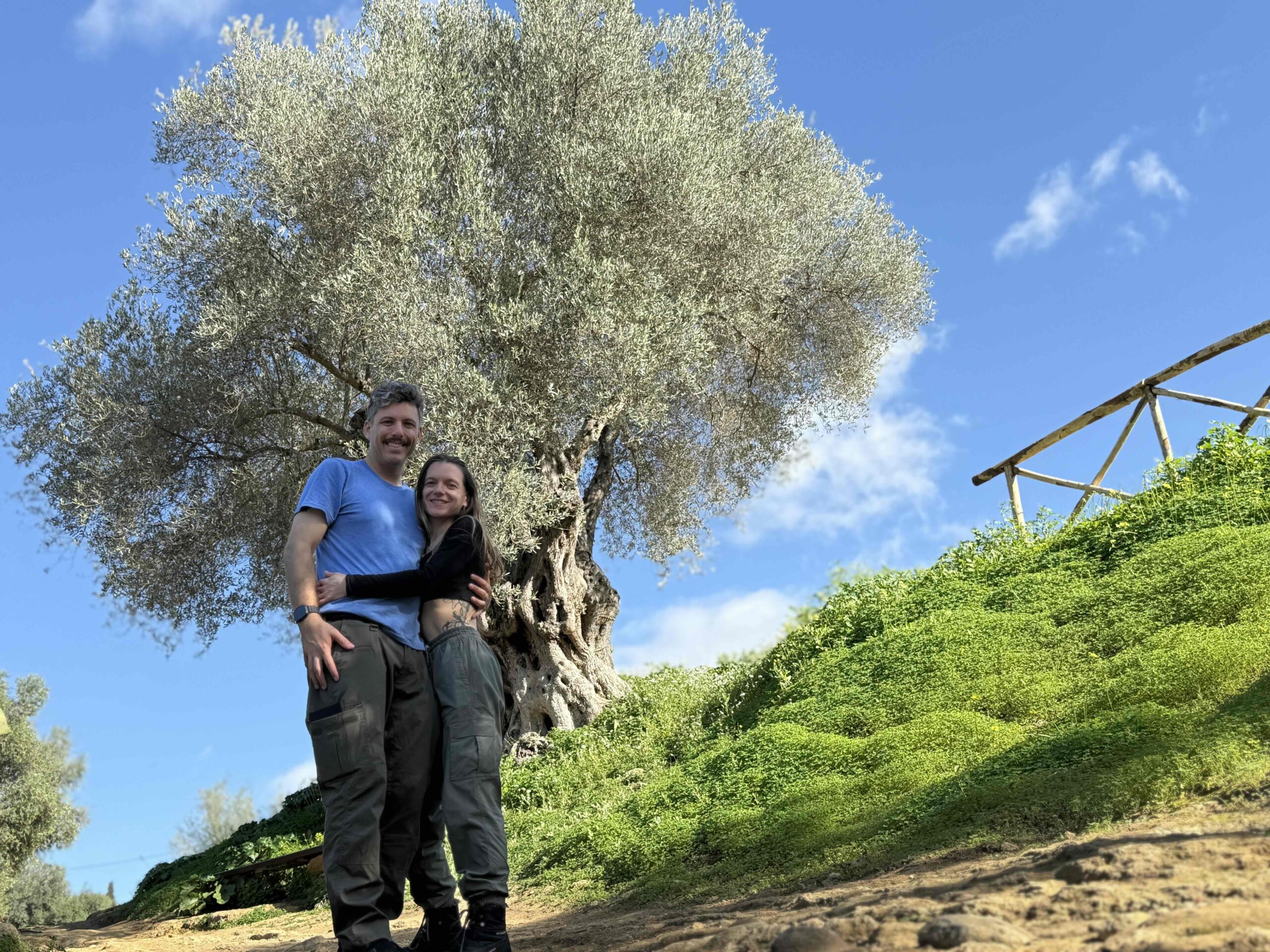 Two travelers standing beneath a large olive tree on grassy hillside