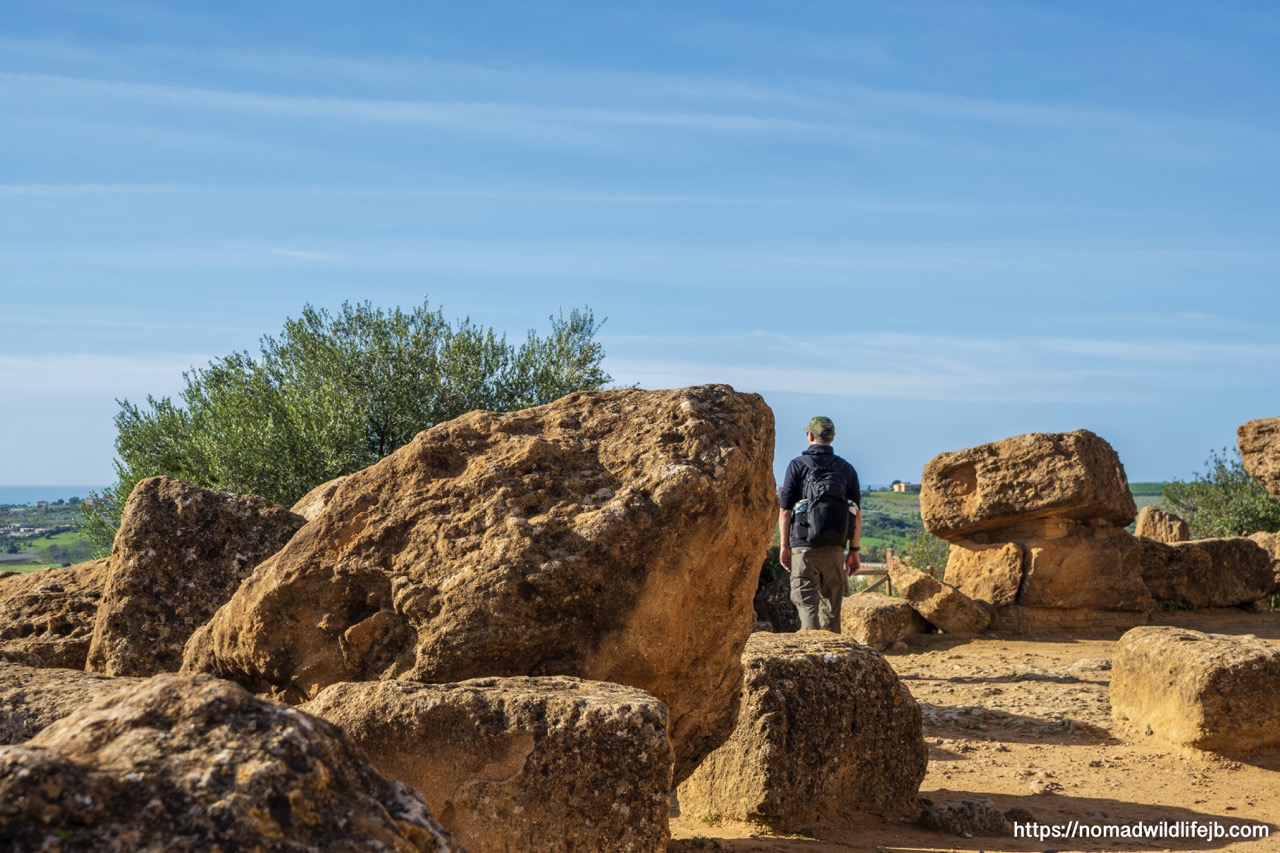 Lemon trees at Valle dei Templi archaeological site in Sicily