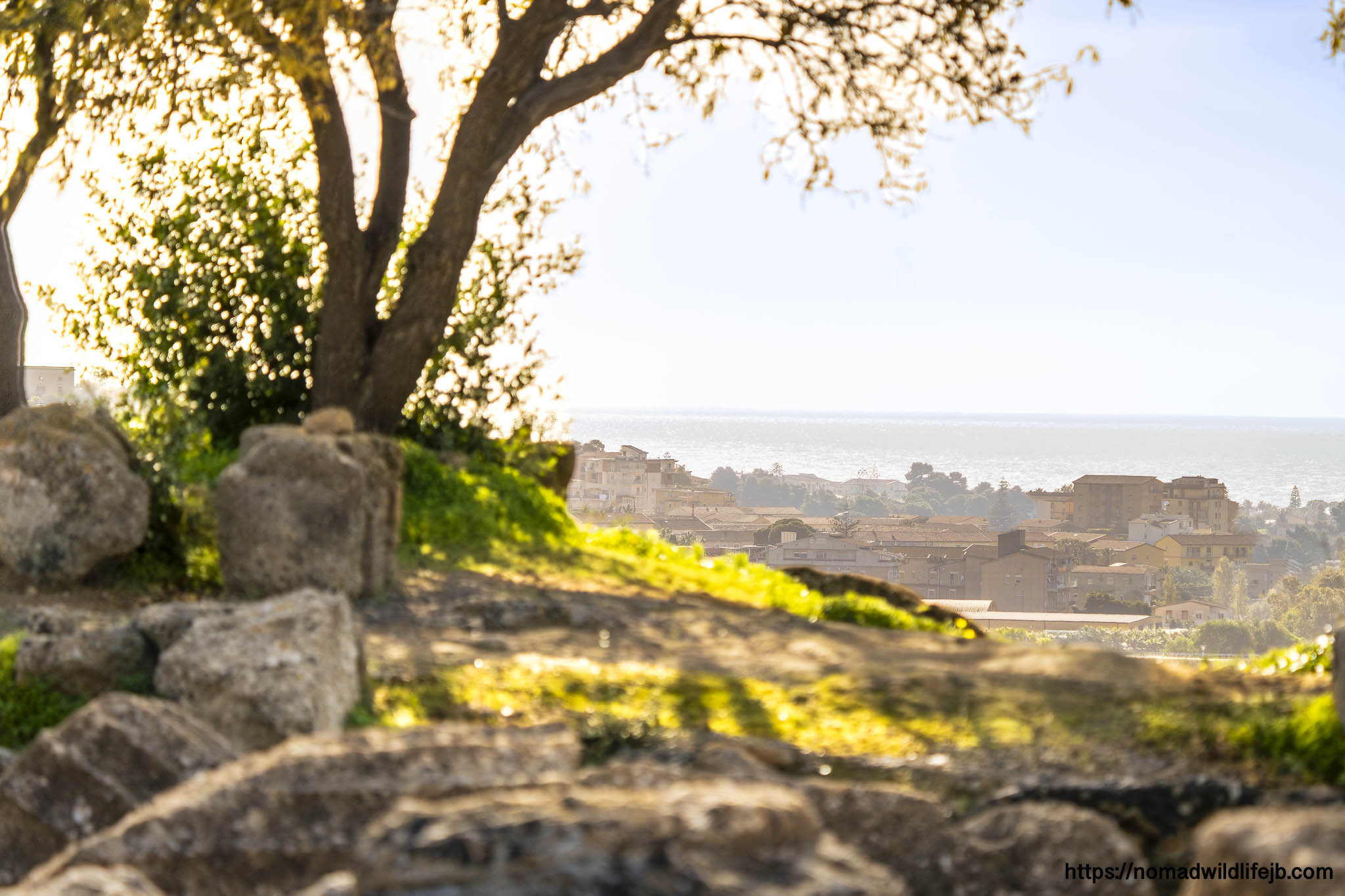 Nomad Wildlife — staying long enough to notice