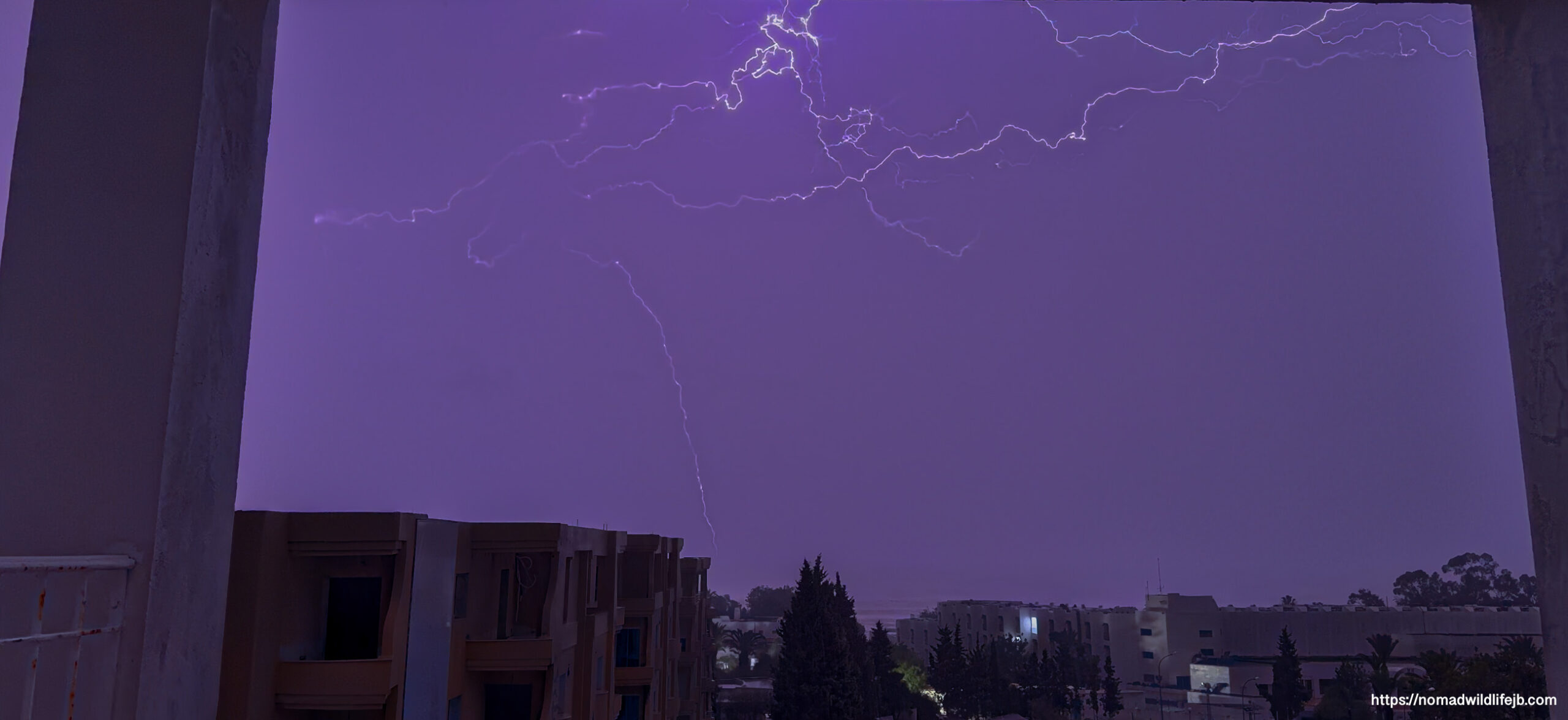 Wide branching lightning web above the city of Hammamet during the storm
