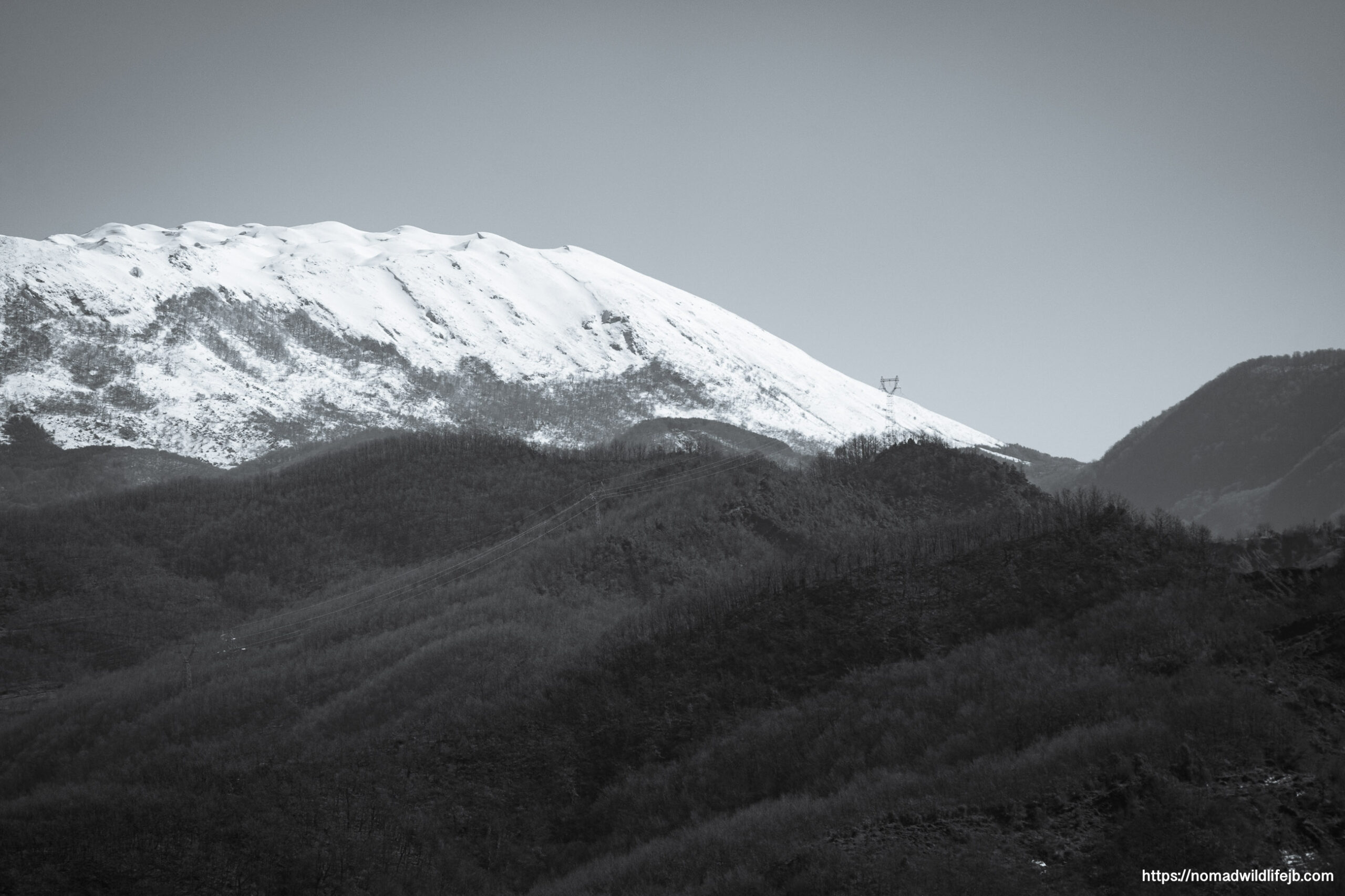 A snow-covered mountain ridge rises above darker forested hills in a minimalist, moody landscape under a pale sky.