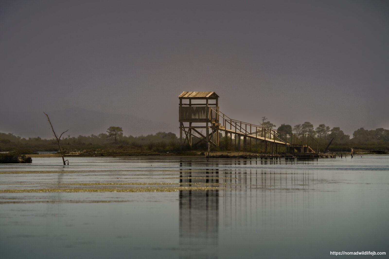 Wooden observation tower reflected in calm water at Karavasta Lagoon in Albania