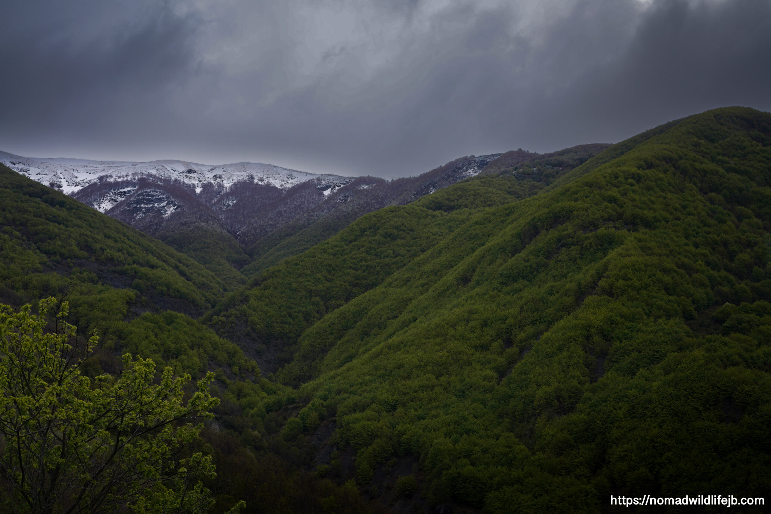 Rolling Mountains Near Bulqizë Green mountain ridges with snow in the distance beneath a dark sky near Bulqizë, Albania.