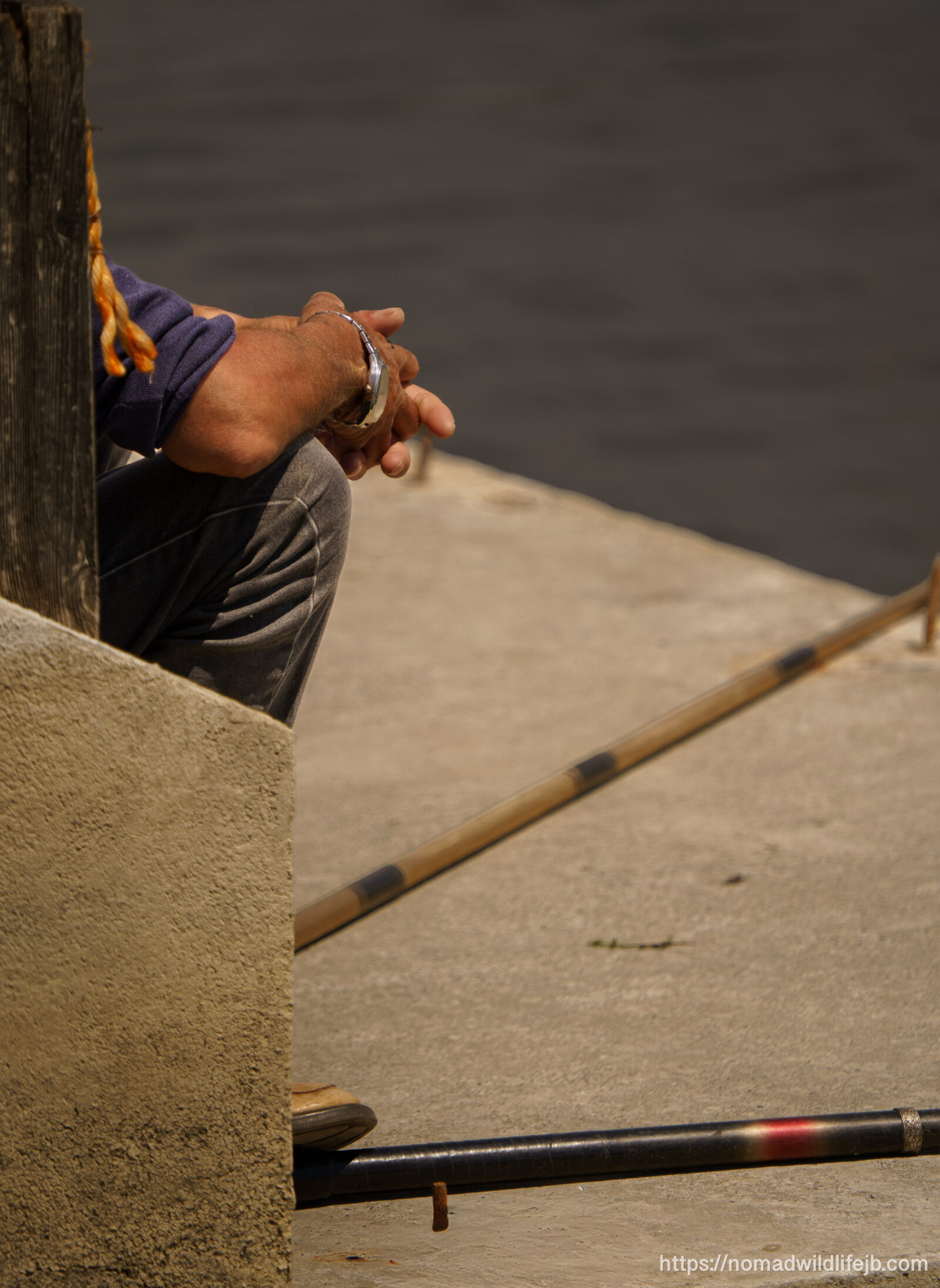 A quiet moment beside Tirana Lake as a fisherman rests with fishing rods along the water’s edge.