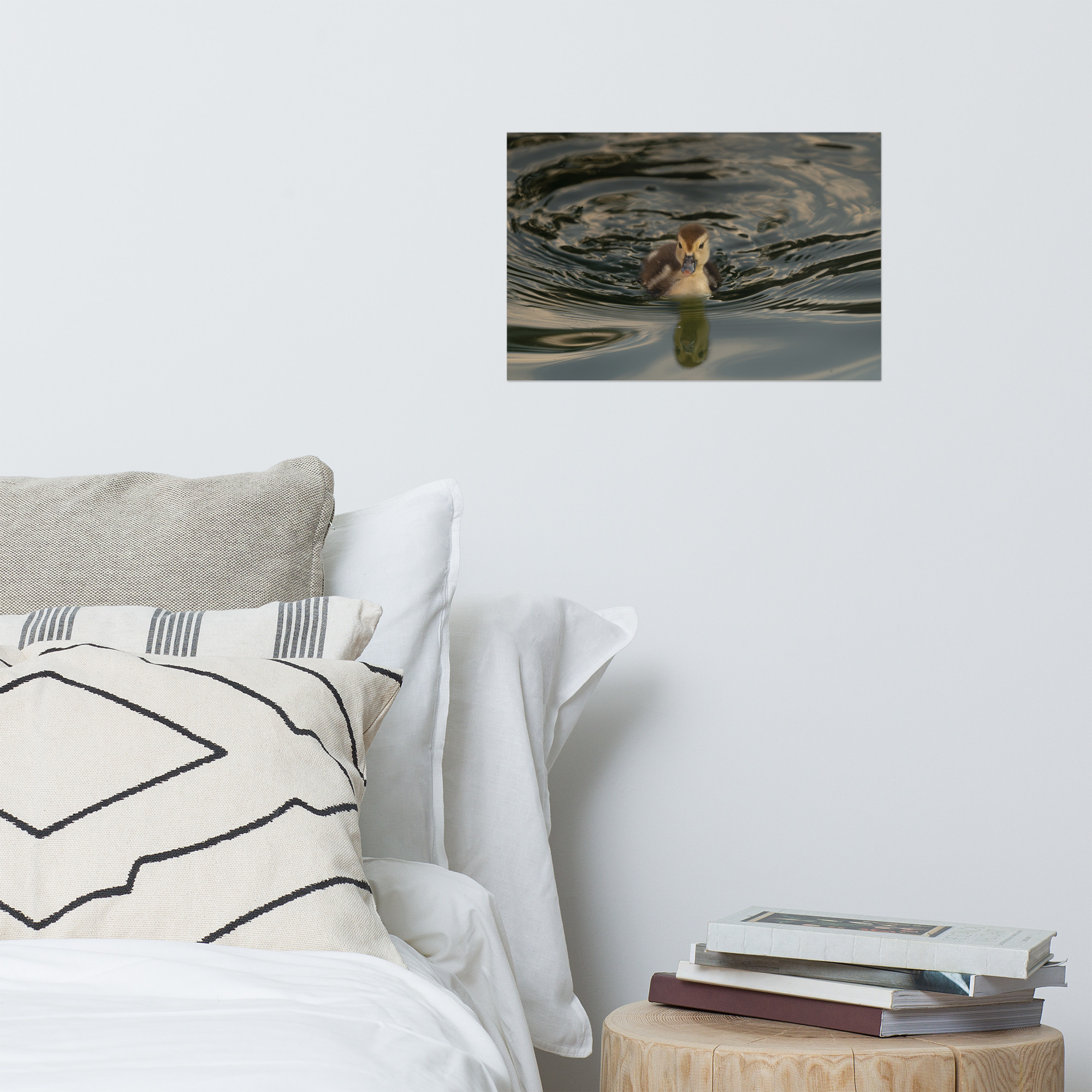 Morning Reflection - Image 5