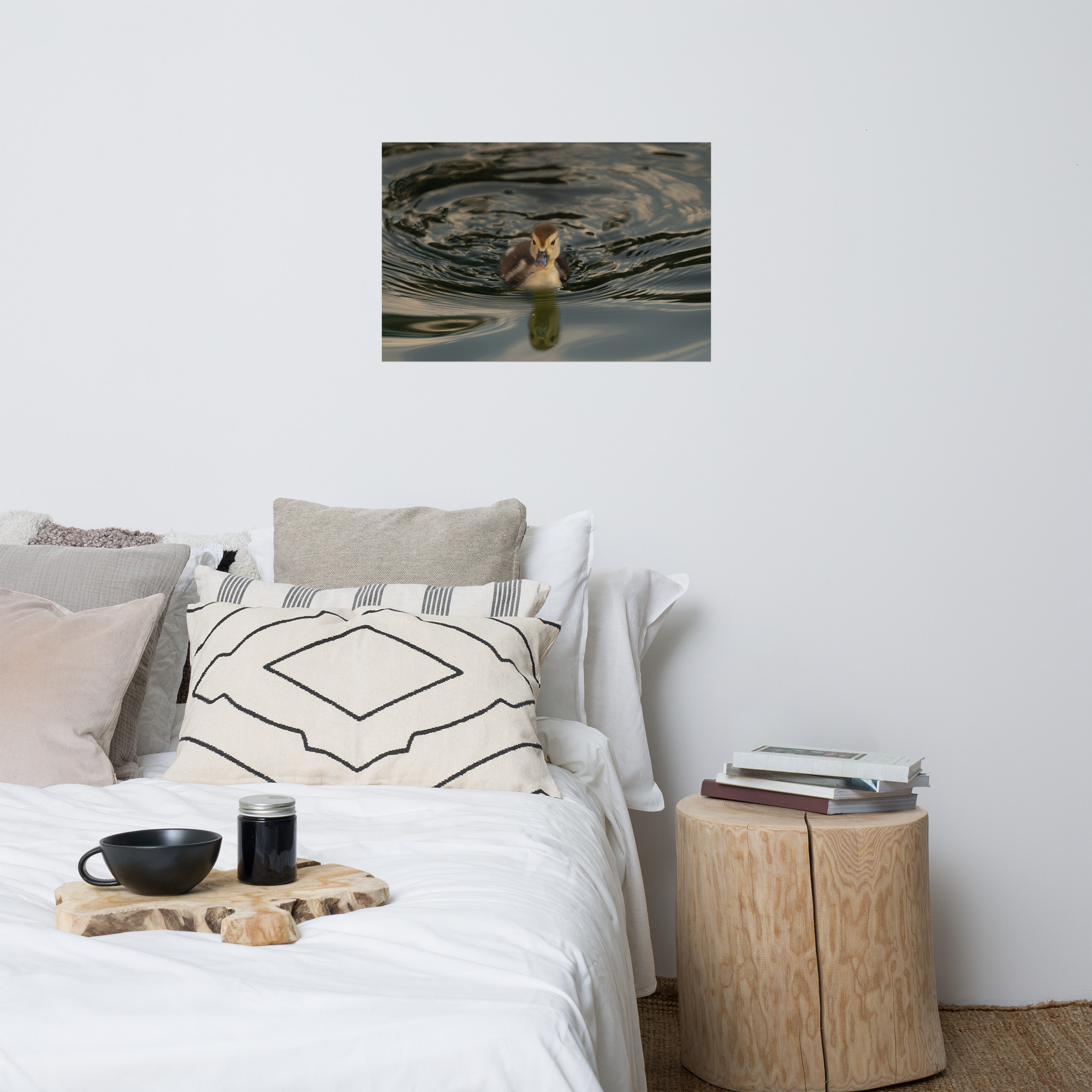 Morning Reflection - Image 6