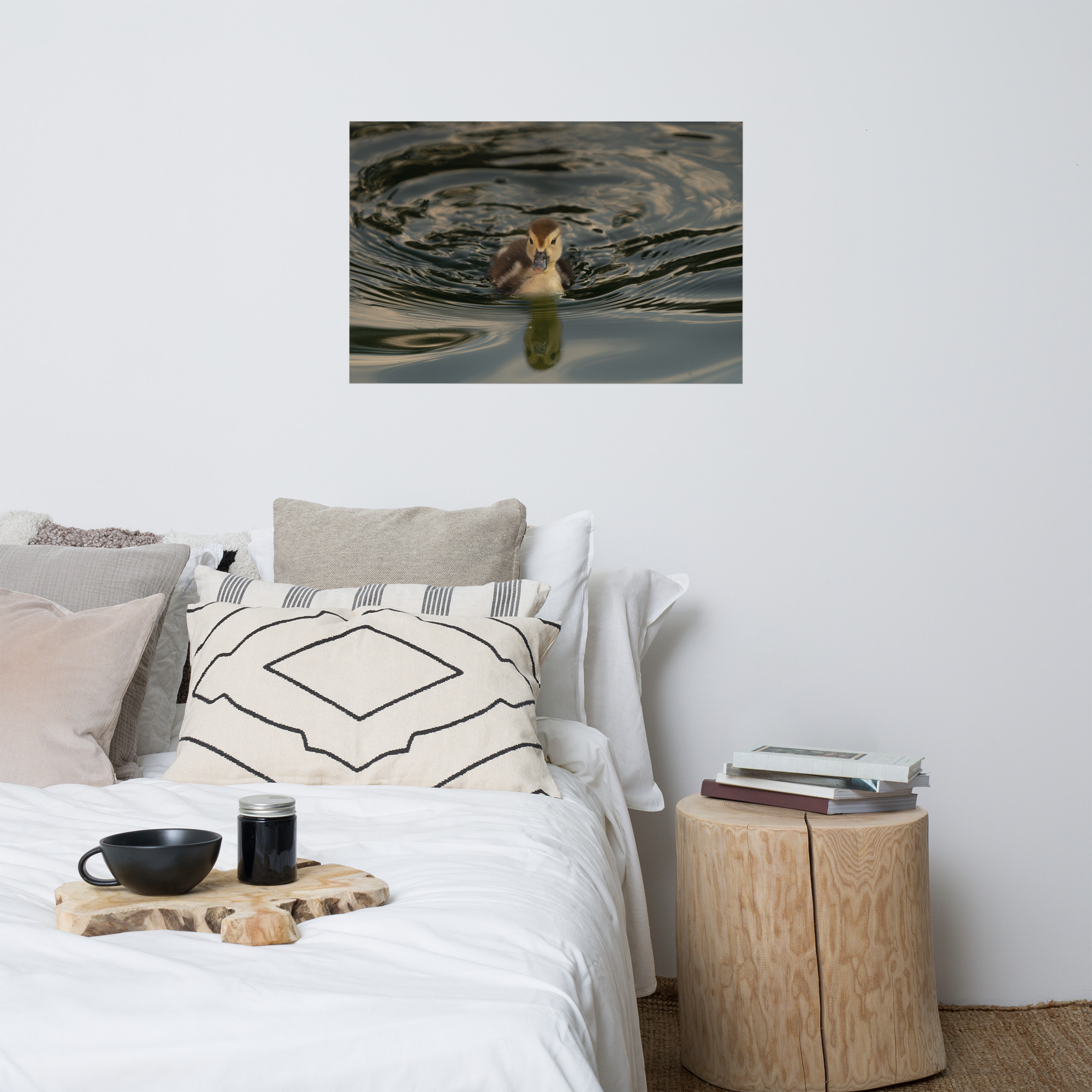 Morning Reflection - Image 7