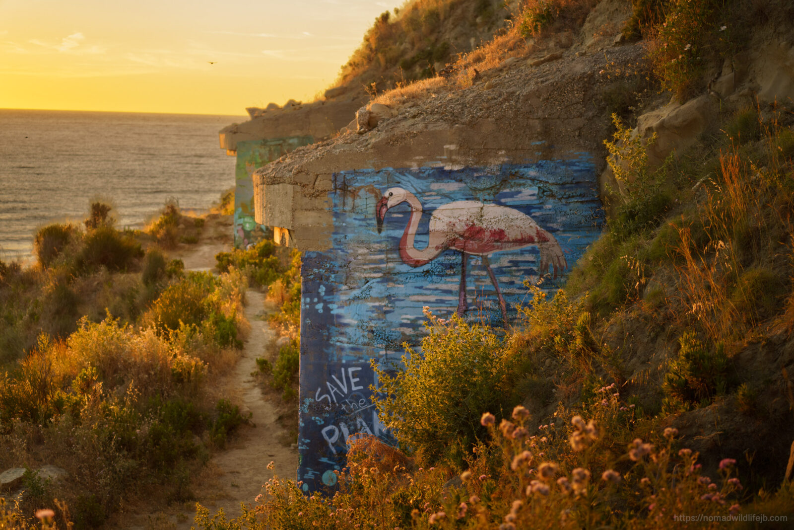 A flamingo mural painted on an abandoned Cold War bunker overlooking the Mediterranean coast near Sazan Island, Albania.