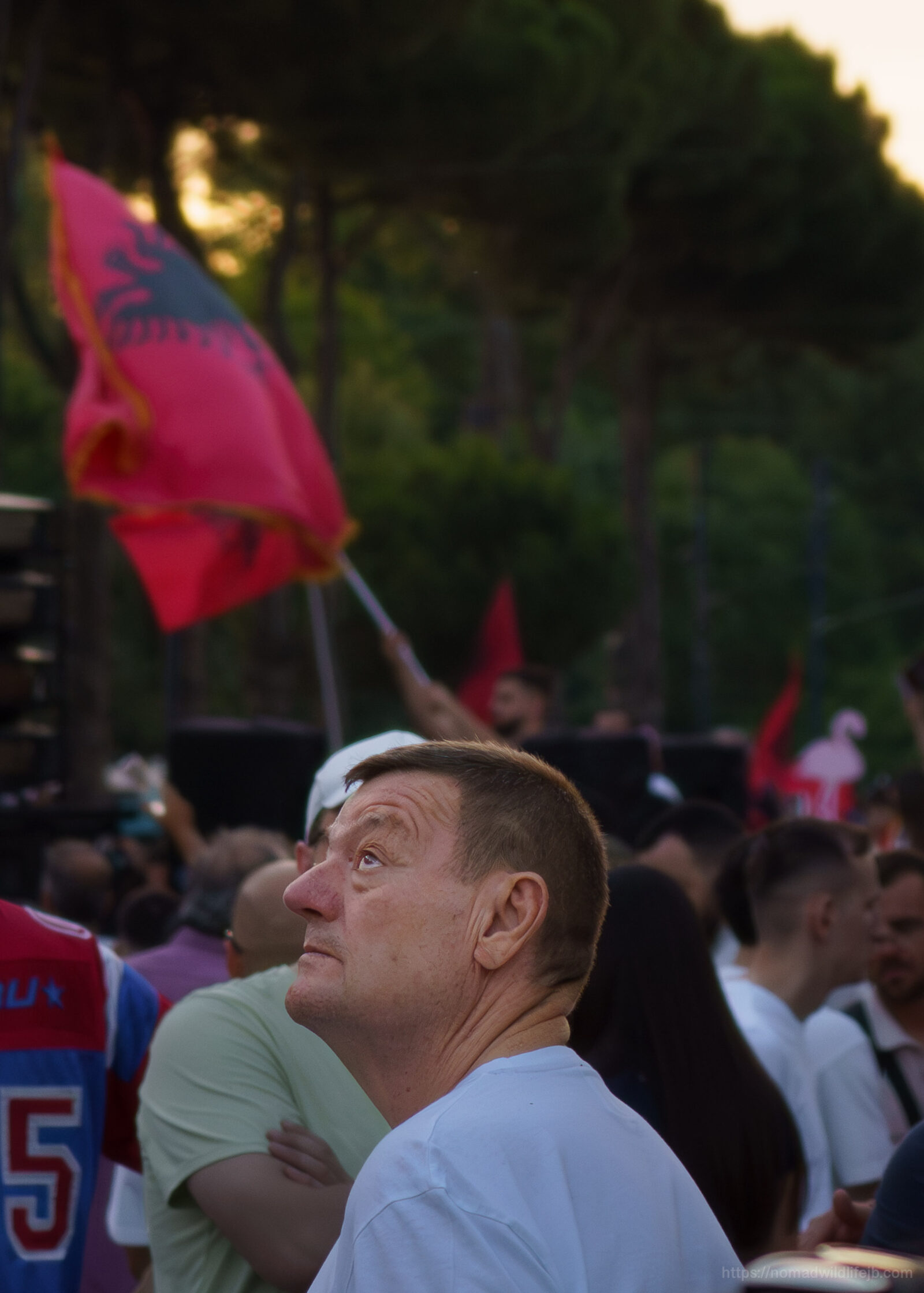 A man looks upward during a protest in Tirana, with flags and flamingo symbols behind him.
