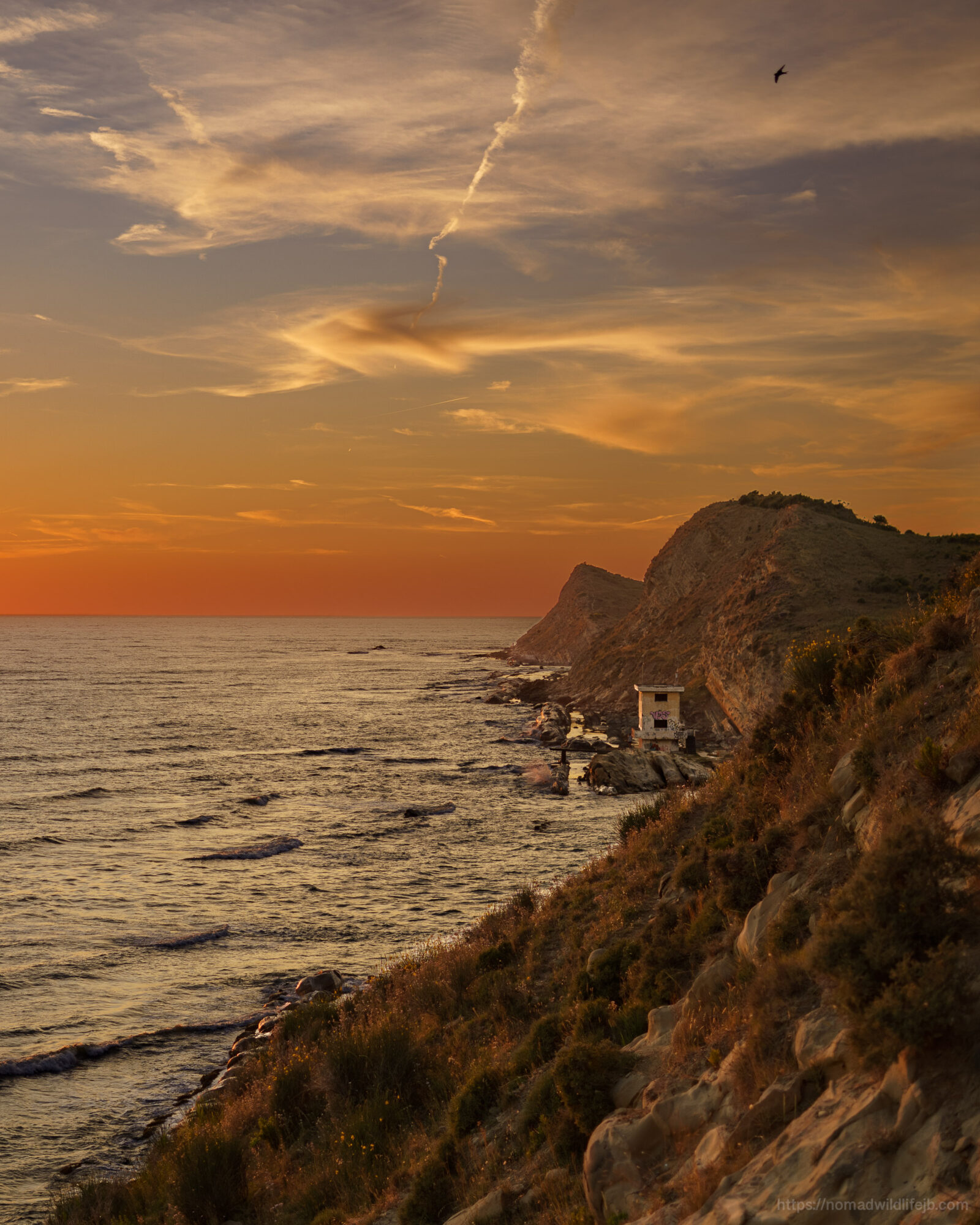 A wild Albanian coastline at sunset with cliffs, sea, and a bird flying overhead.